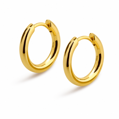Women's Gold S925 Classic Hoop Earrings